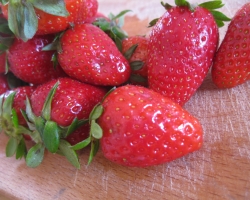 Marmellata di fragole light