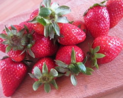 Risotto alle fragole
