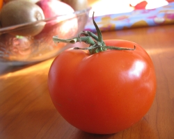 Pappa al pomodoro