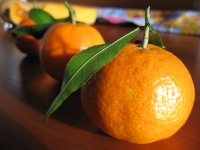 Bavarese ai mandarini