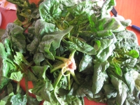 Ravioli ricotta e spinaci